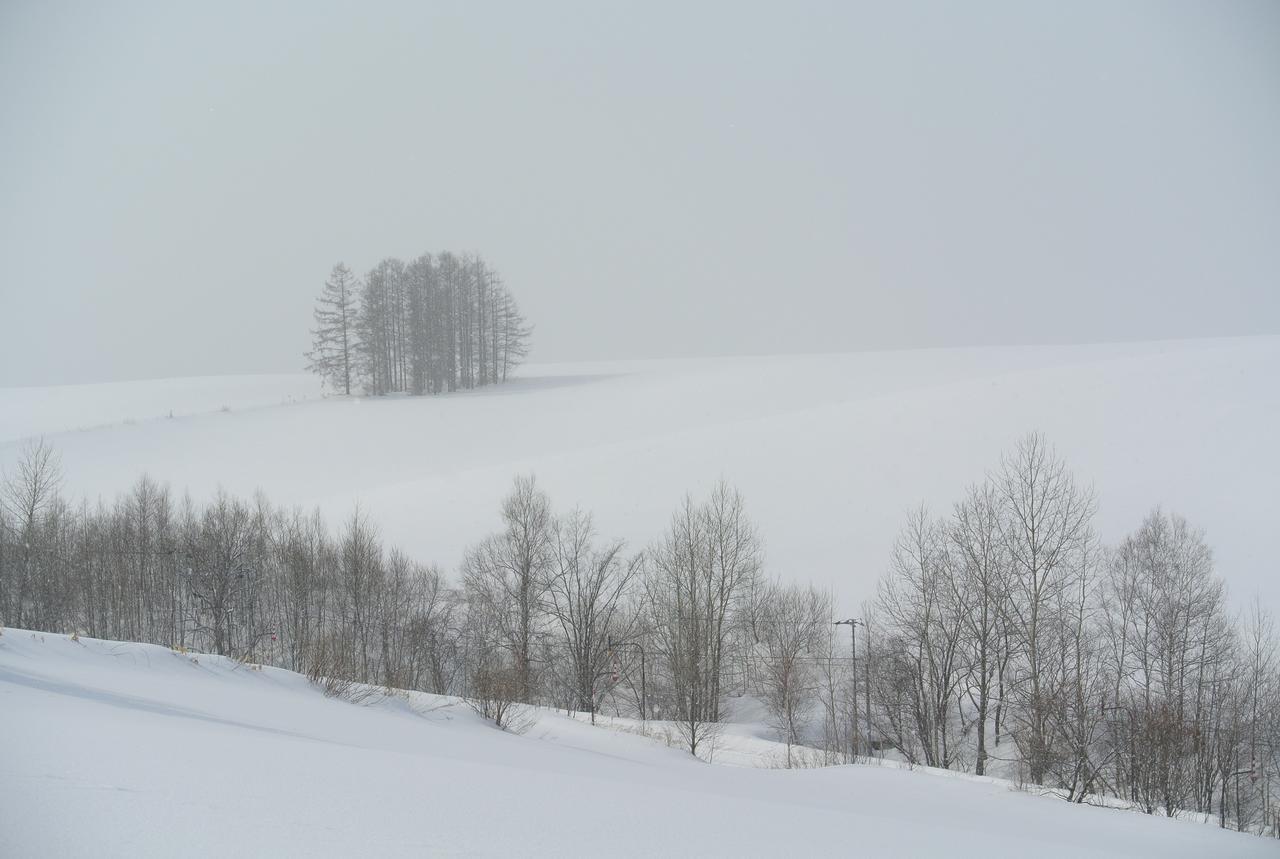 惠雪笑颜绽放住宿加早餐旅馆 2* 美瑛町